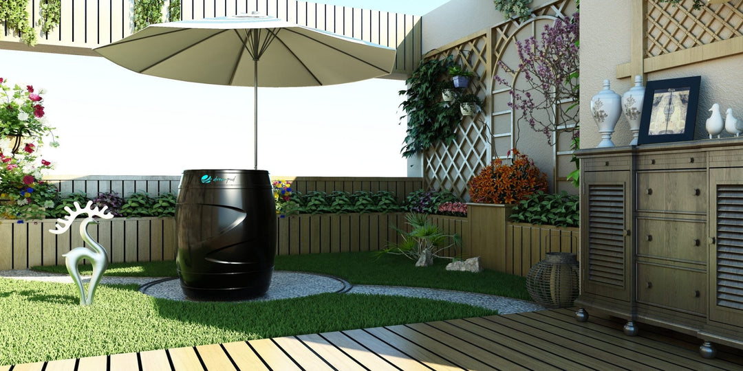 DreamPod Cold Plunge Barrel with Chiller - My Luxury Home Spa