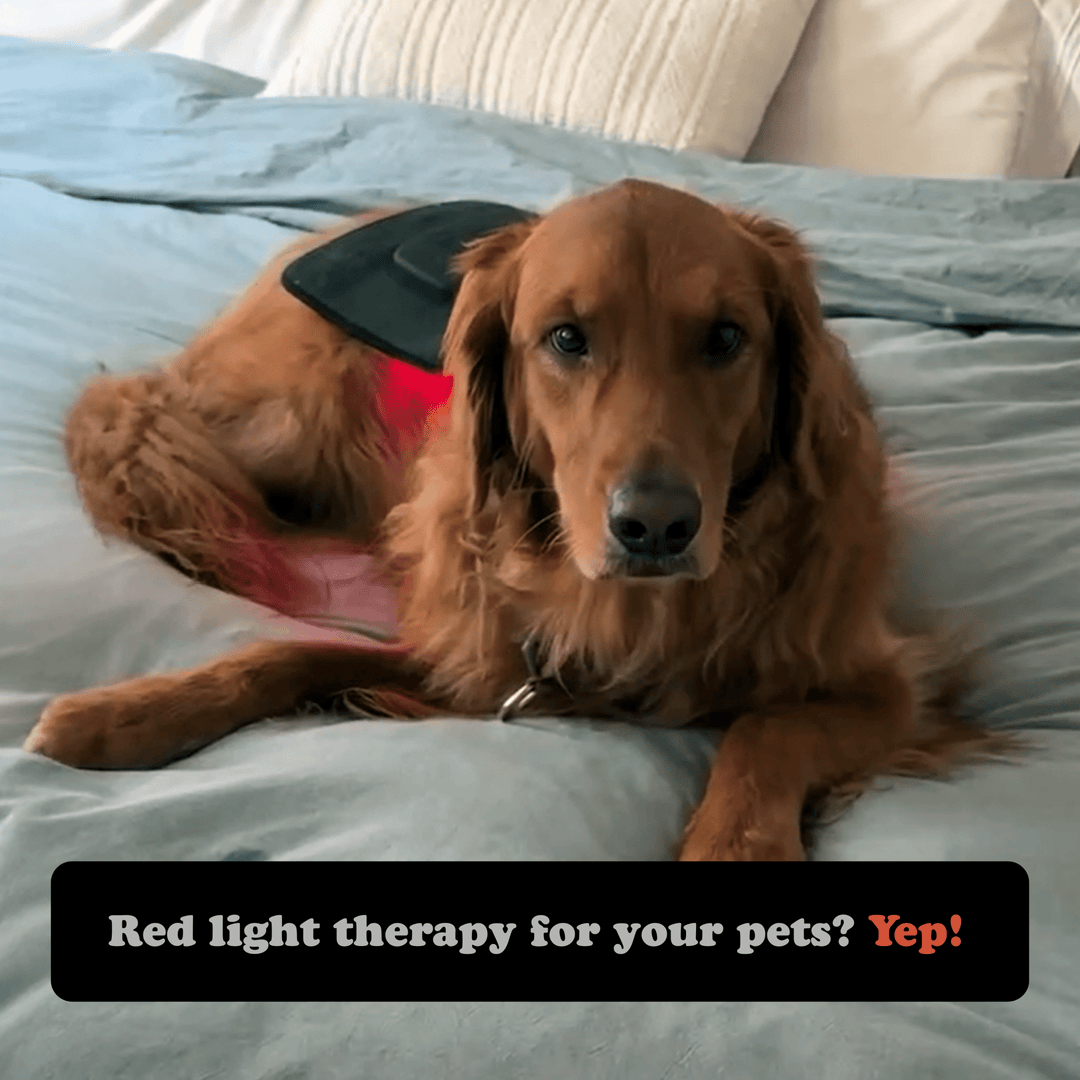 Fringe Wireless Red Light Therapy Wrap - My Luxury Home Spa