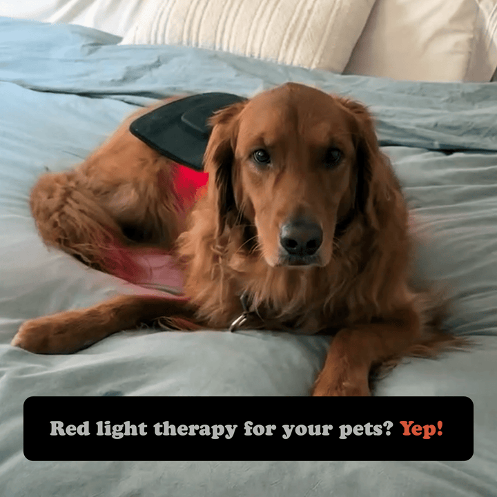 Fringe Wireless Red Light Therapy Wrap - My Luxury Home Spa