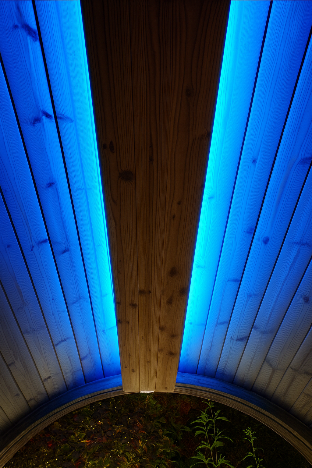 SaunaLife sauna RGB LED lighting kit installed on wooden sauna ceiling glowing blue