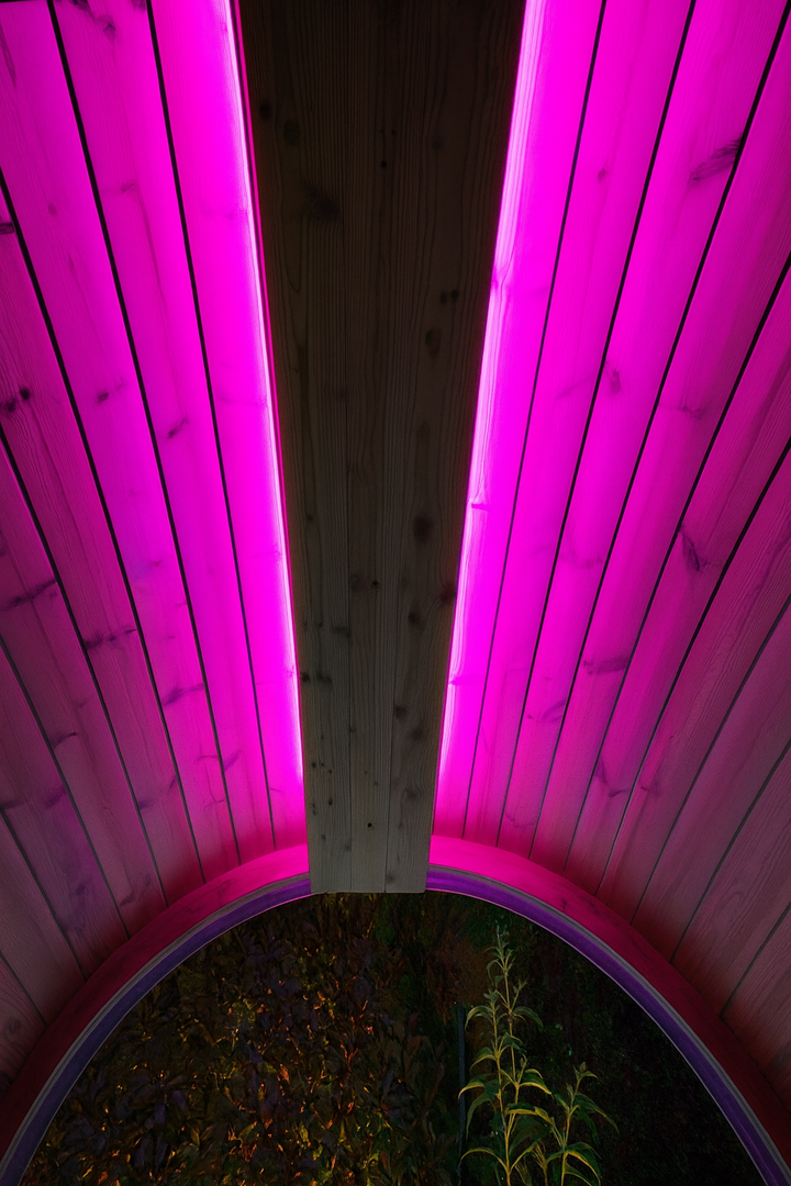 SaunaLife sauna RGB LED lighting kit installed on wooden sauna ceiling glowing pink
