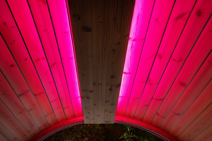SaunaLife sauna RGB LED lighting kit installed with vibrant pink light on wooden sauna ceiling